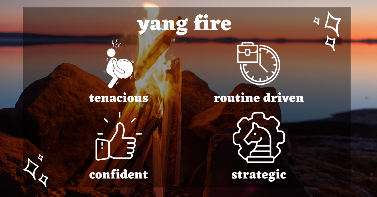 yang-fire-daymaster-ideal-career.png